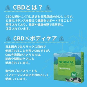 【人気No.1バーム】BearBalm+CBD/ベアバーム NORMAL CBD500mg