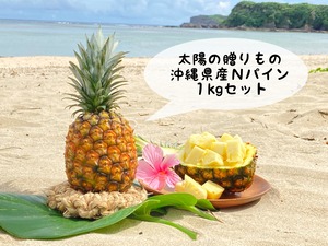 【2024年8月発送】太陽の贈りもの｜沖縄パイン（Nパイン）1kgセット