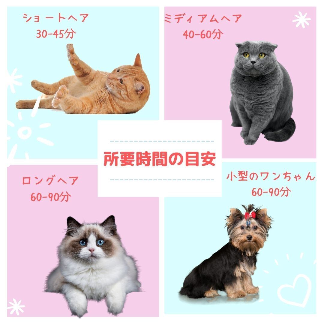 40%OFF大セール】ペットドライヤーボックス 犬猫乾燥ハウス 40%OFF大セール】ペットドライヤーボックス 犬猫乾燥ハウス