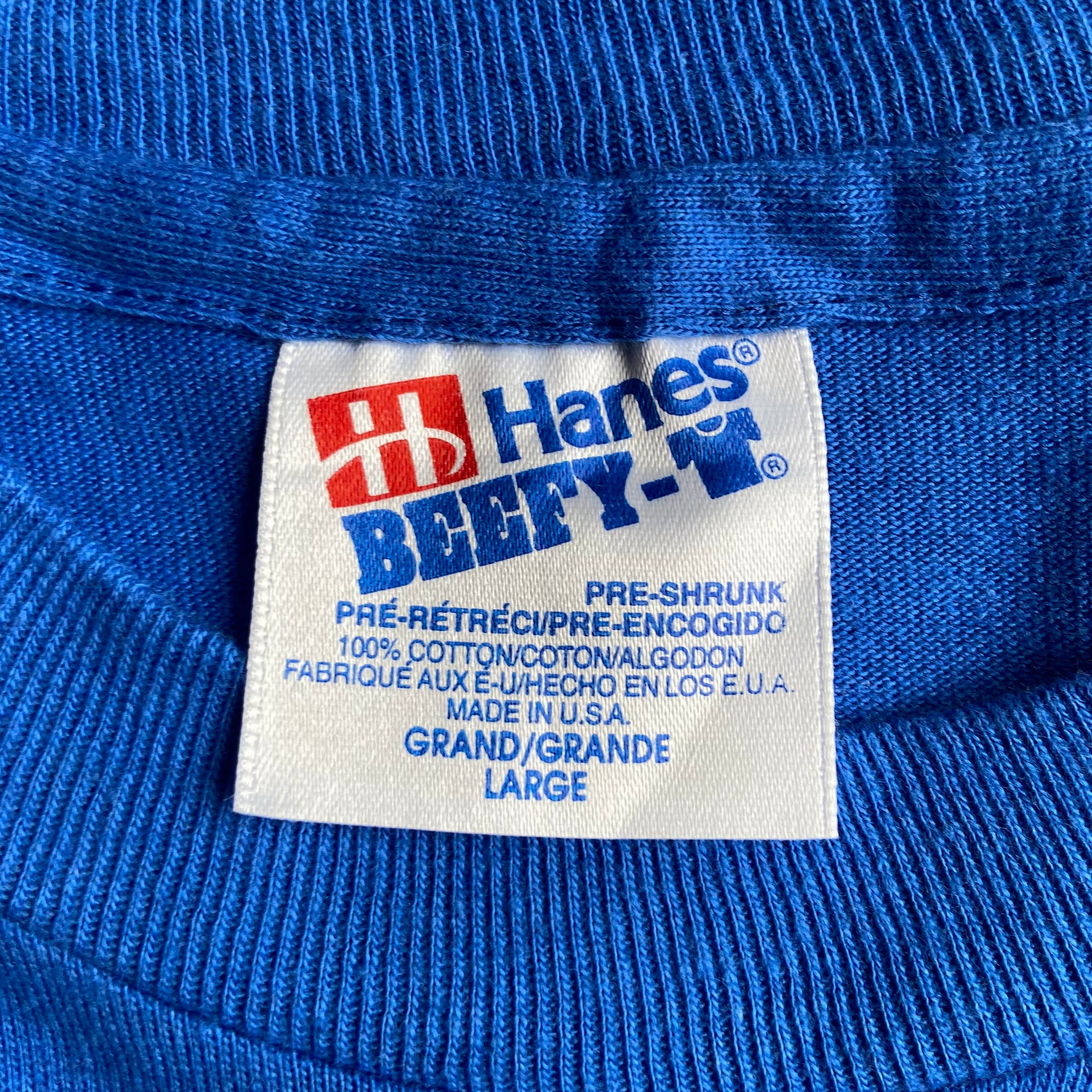90年代 ヘインズ Hanes BEEFY-T 青タグ 両面プリント プリントTシャツ USA製 メンズXL ヴィンテージ /eaa348945