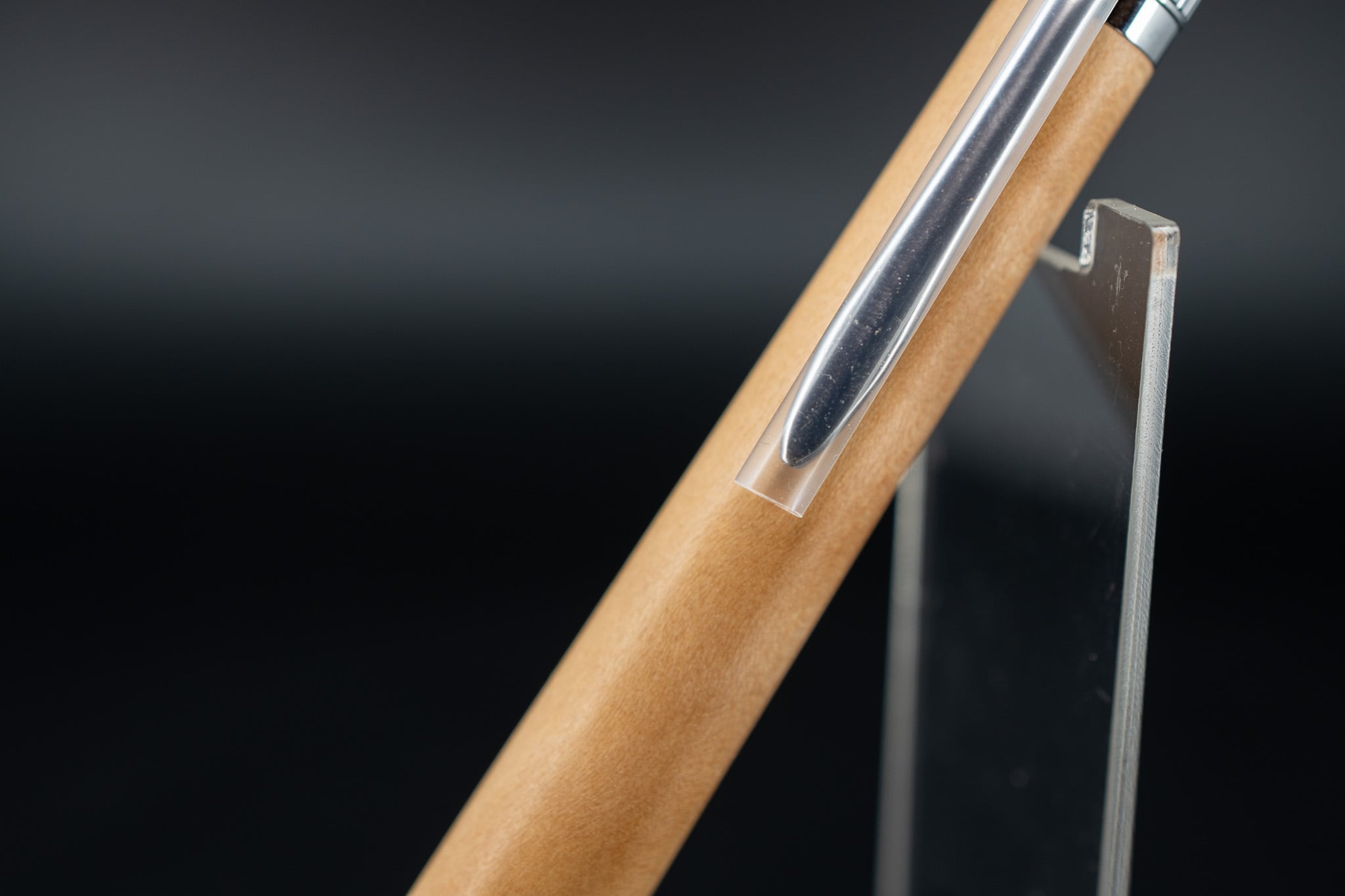 【庭木の王様】 木斛 (モッコク) silver MP