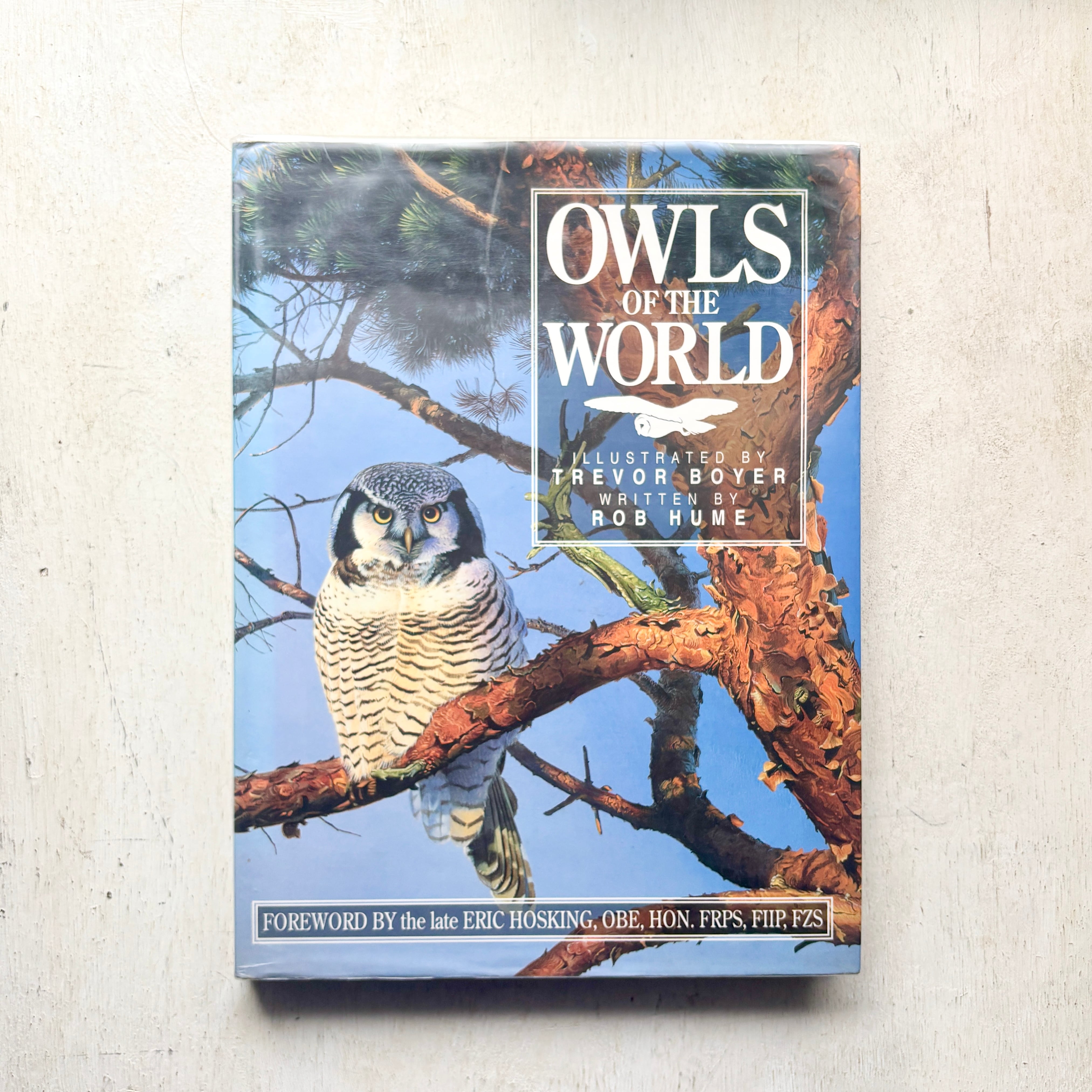 Owls of the World - Rob Hume世界のフクロウ図鑑 洋書 【公式通販】