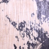 『ゆるがない想い』