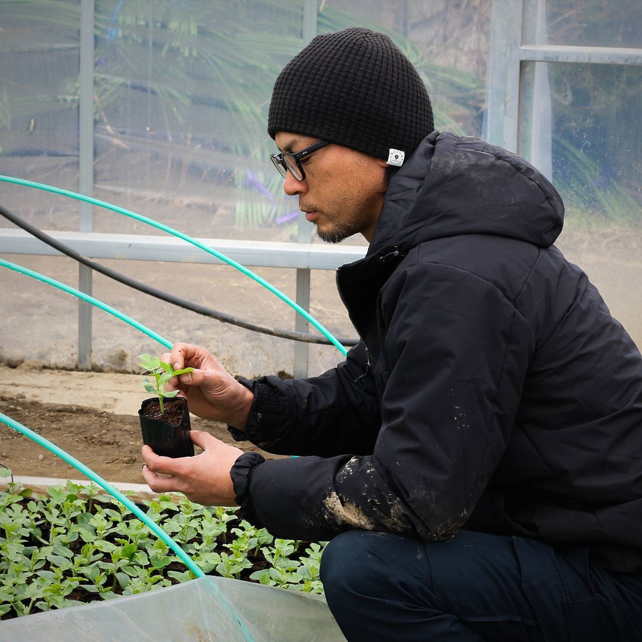 予約注文限定10%オフ!【R8年度】農家直送 雪国スイカ 小玉4玉 優品 贈り物に◎