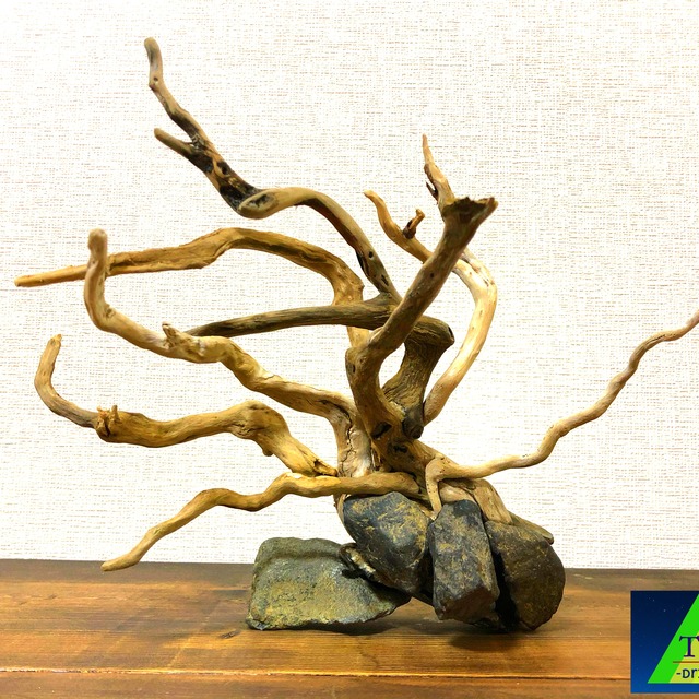 流木 A01 溶岩石セット Teto Drift Wood 流木 A01 溶岩石セット Teto Drift Wood