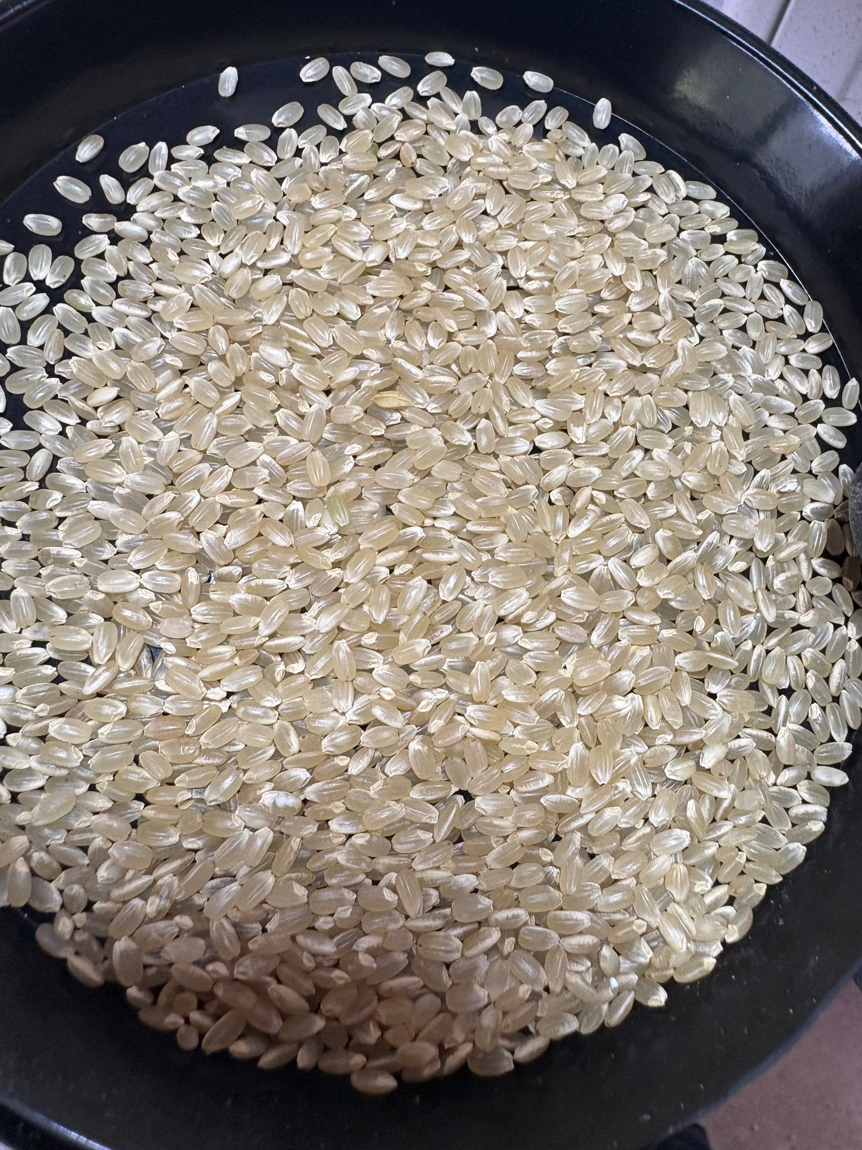 新米》令和7年産 佐渡産コシヒカリ『5割減減特別栽培米』30kg