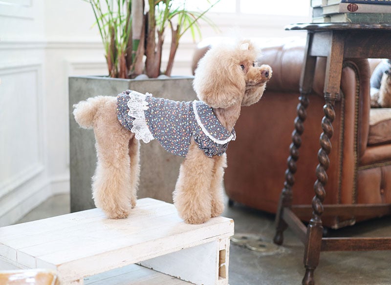 フラワーワンピース / 犬服 ワンピース お出かけ 小型犬 中型犬 可愛い