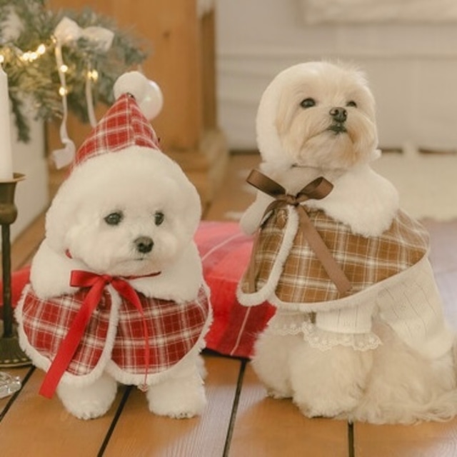 【予約】Holly Cottage Cape〈2color〉/ kiki&nini　韓国犬服