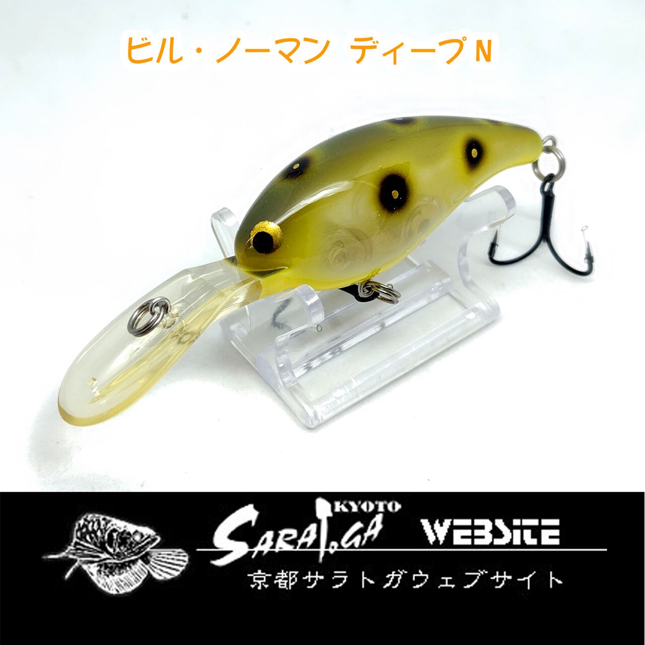 ザウルス ヨルマルミノー | 京都さらとが