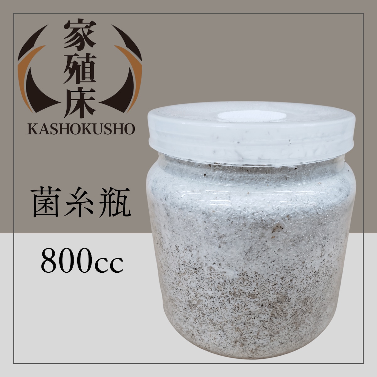 菌糸瓶 800㏄ 家殖床 クラシック | 輝心堂 最高級菌糸瓶販売サイト 菌糸瓶 800㏄ 家殖床 クラシック | 輝心堂 最高級菌糸瓶販売サイト