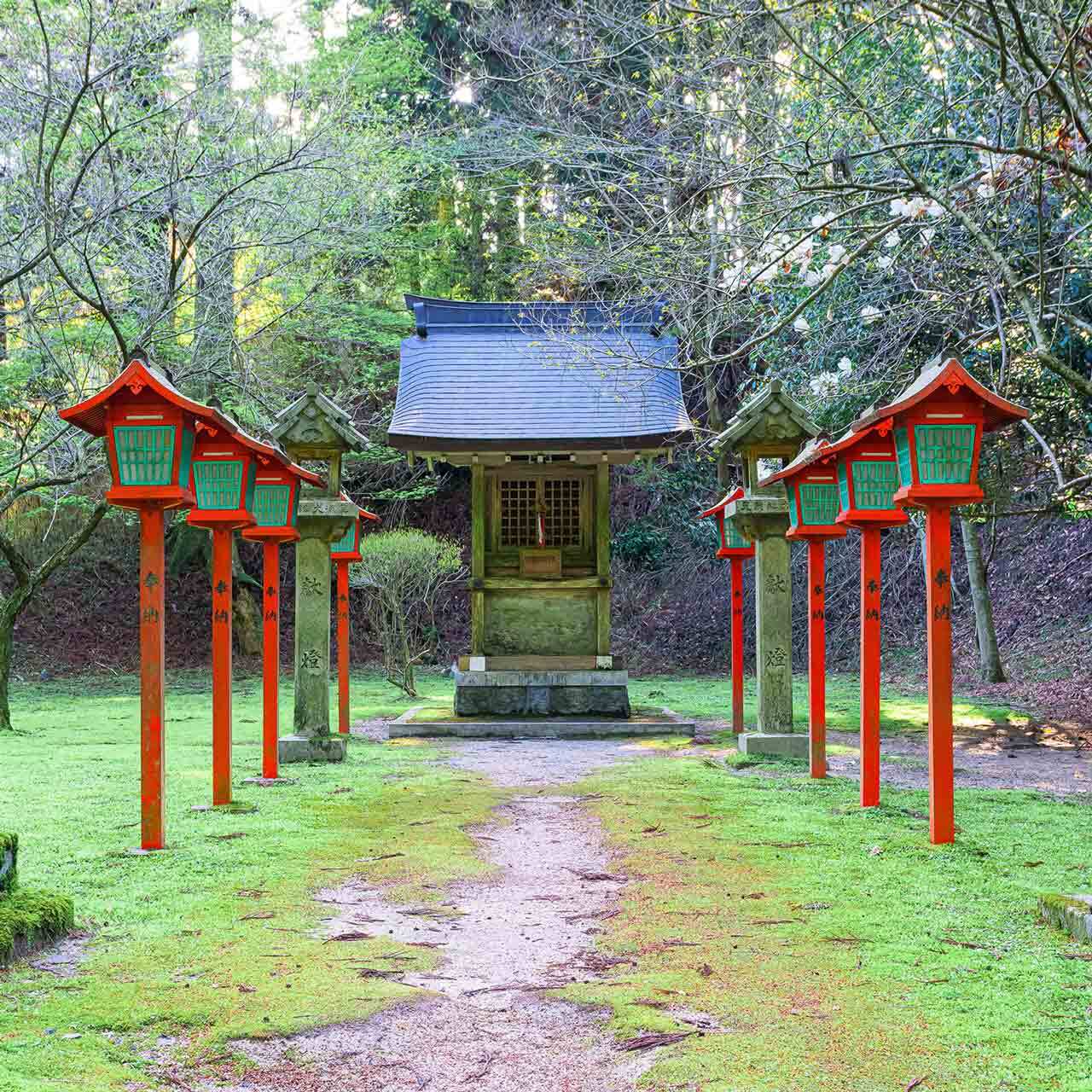 春の苔［延暦寺］ | kokenomusumade