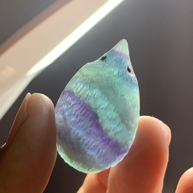 31キュートなフローライトハリネズミさん