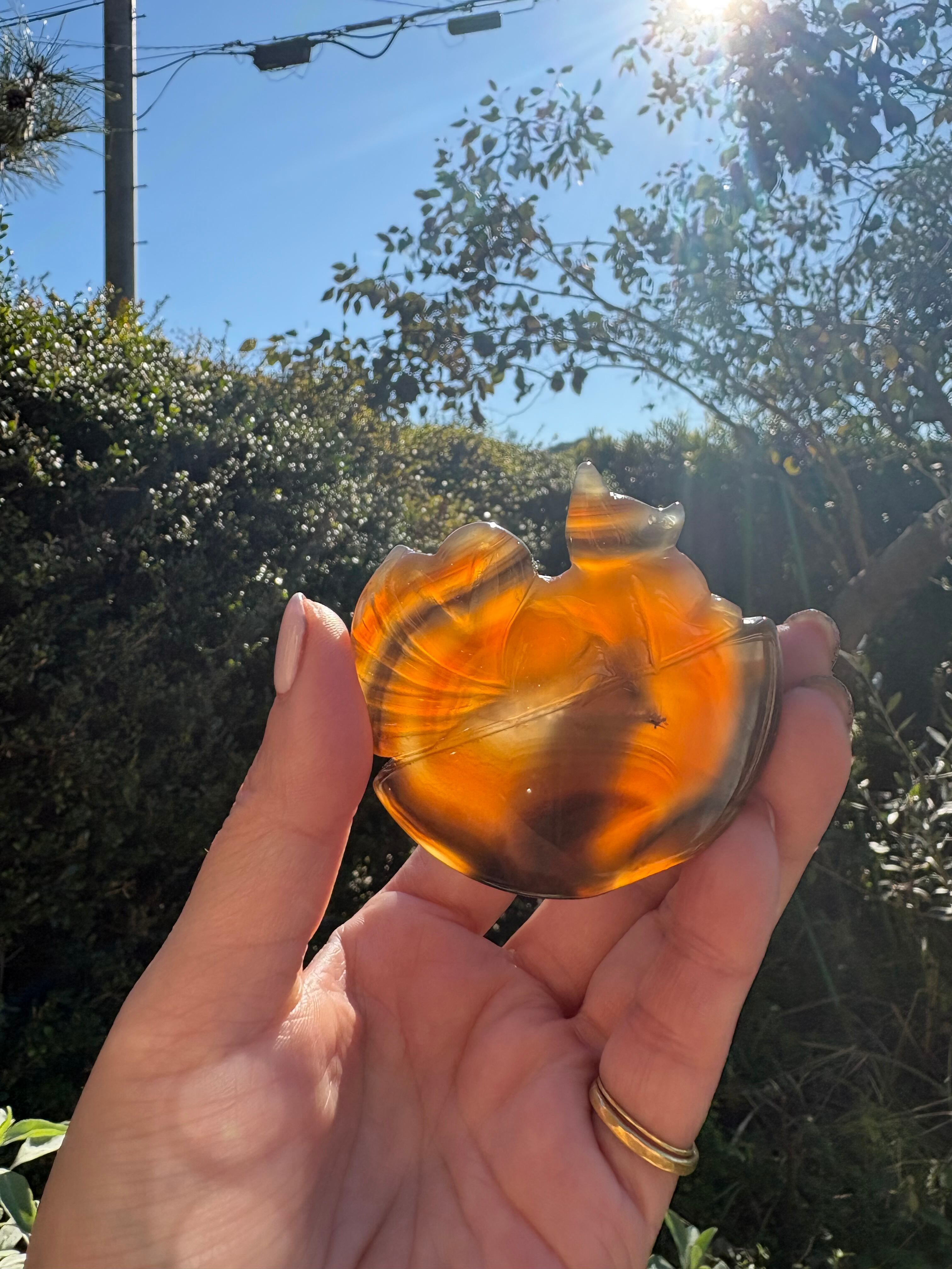 セレスタイト原石ペリドット共生 | MOMENT STONE