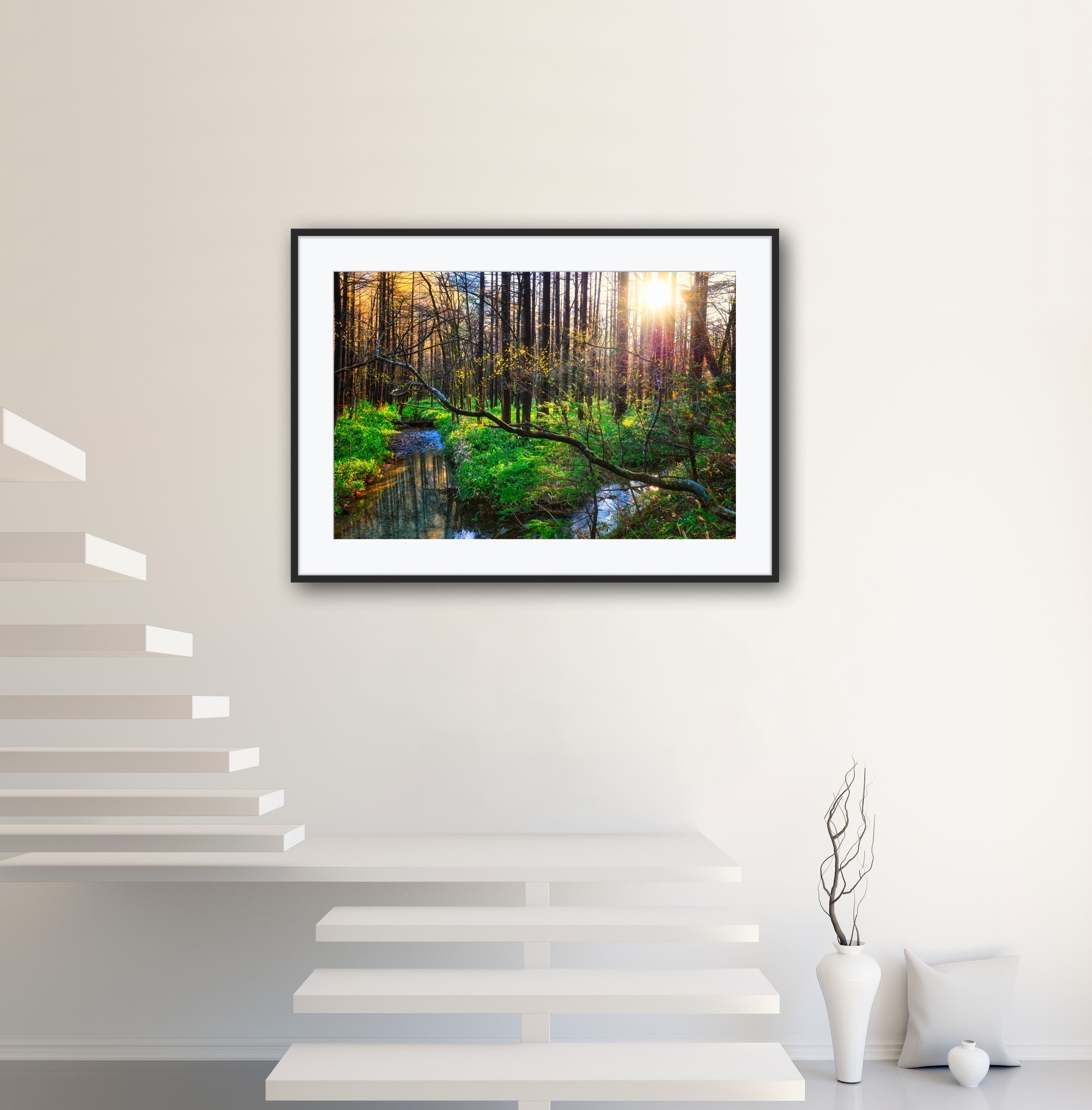 煌めきの森 | Taka Mountain Gallery