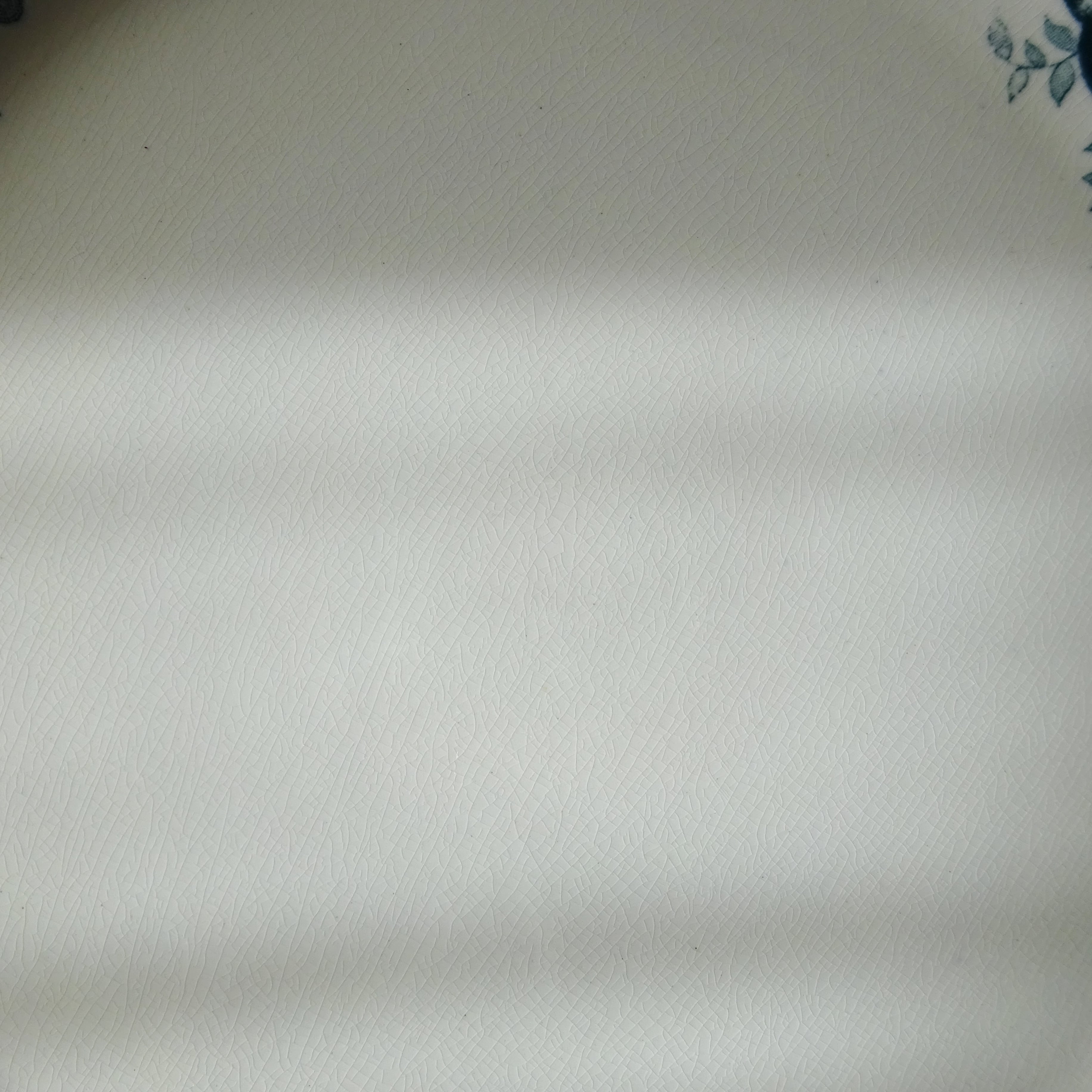 【 Épuisé 】T.F. Badonviller  modèle《CERISES》assiette plate (A)