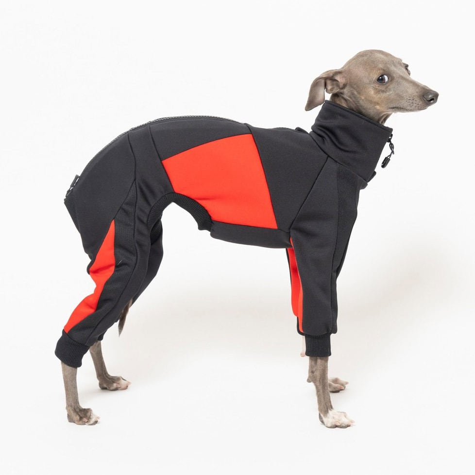 ドッグランジャージ　black × red / イタグレ服 ドッグランジャージ black × red / イタグレ服 | イタグレ服