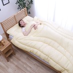 掛布団 滅ダニ 170×210cm セミダブルロング