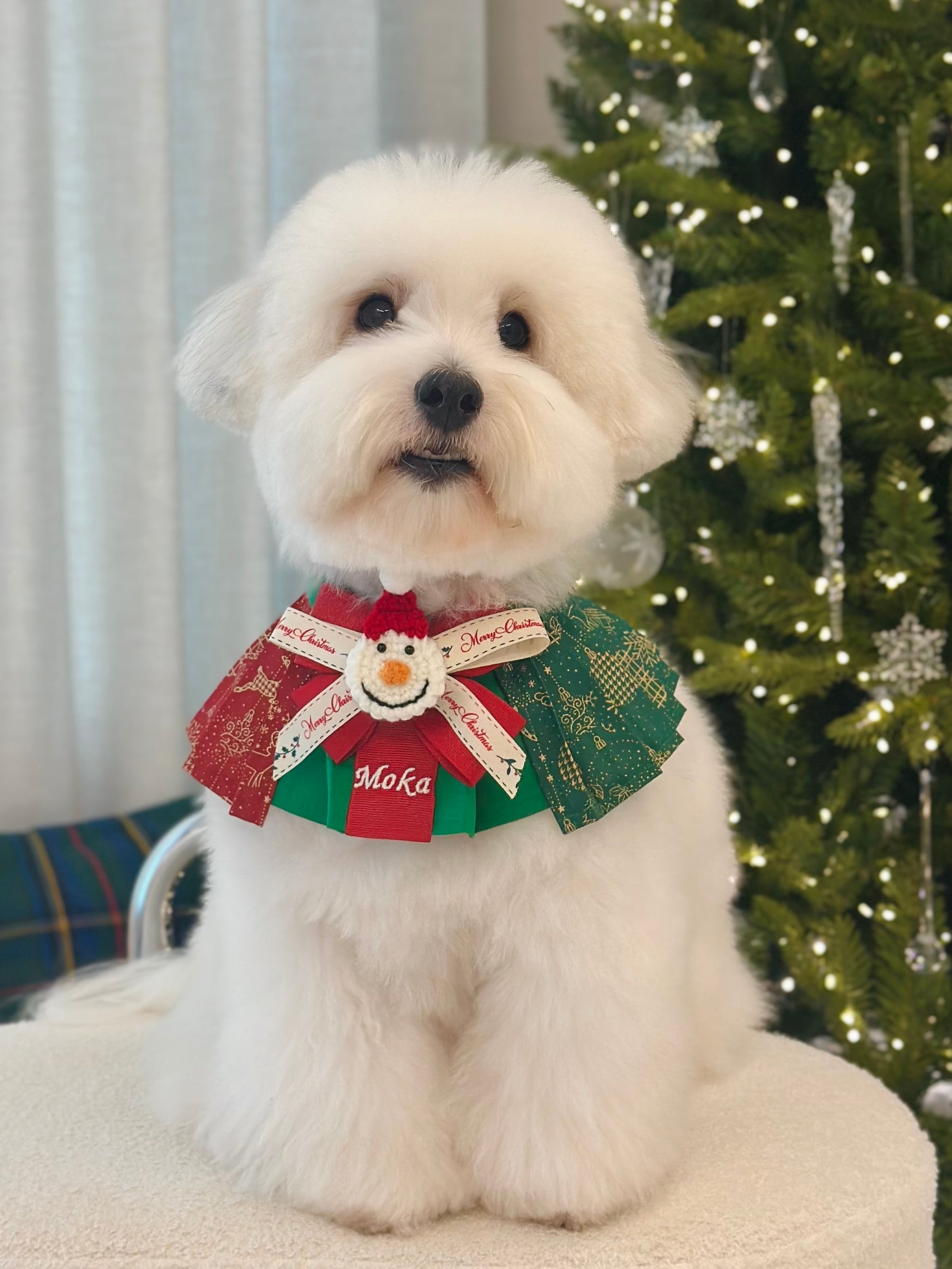 限定予約【MR.MOKA】Holidy Wing Accordion Cape