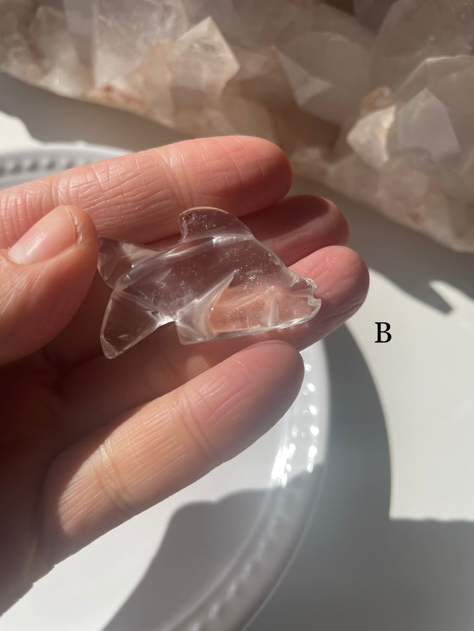 Crystal Fish / 水晶　魚