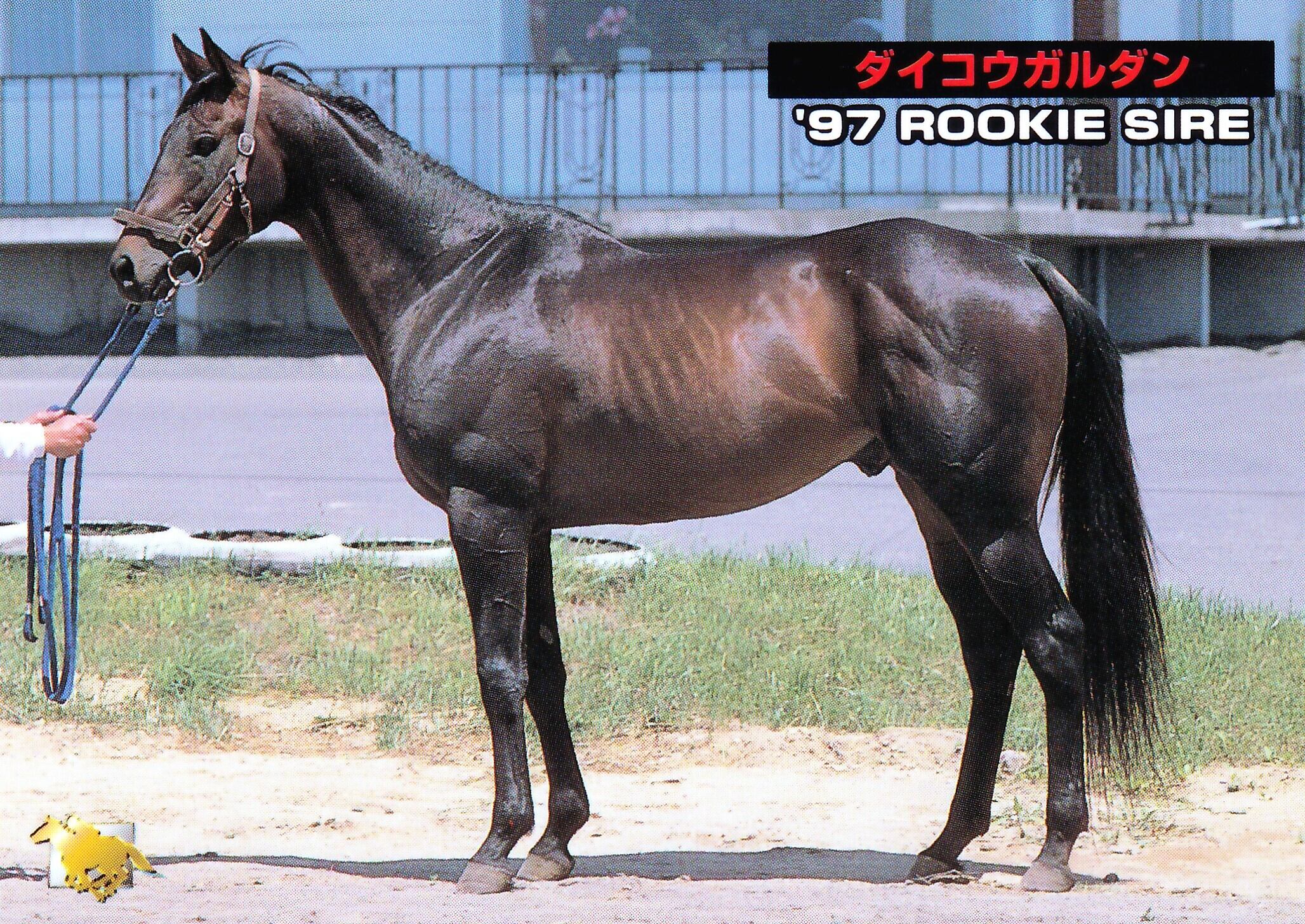 シリウスシンボリ「サラブレッドカード 96年上半期版」M-18 | Pay ID