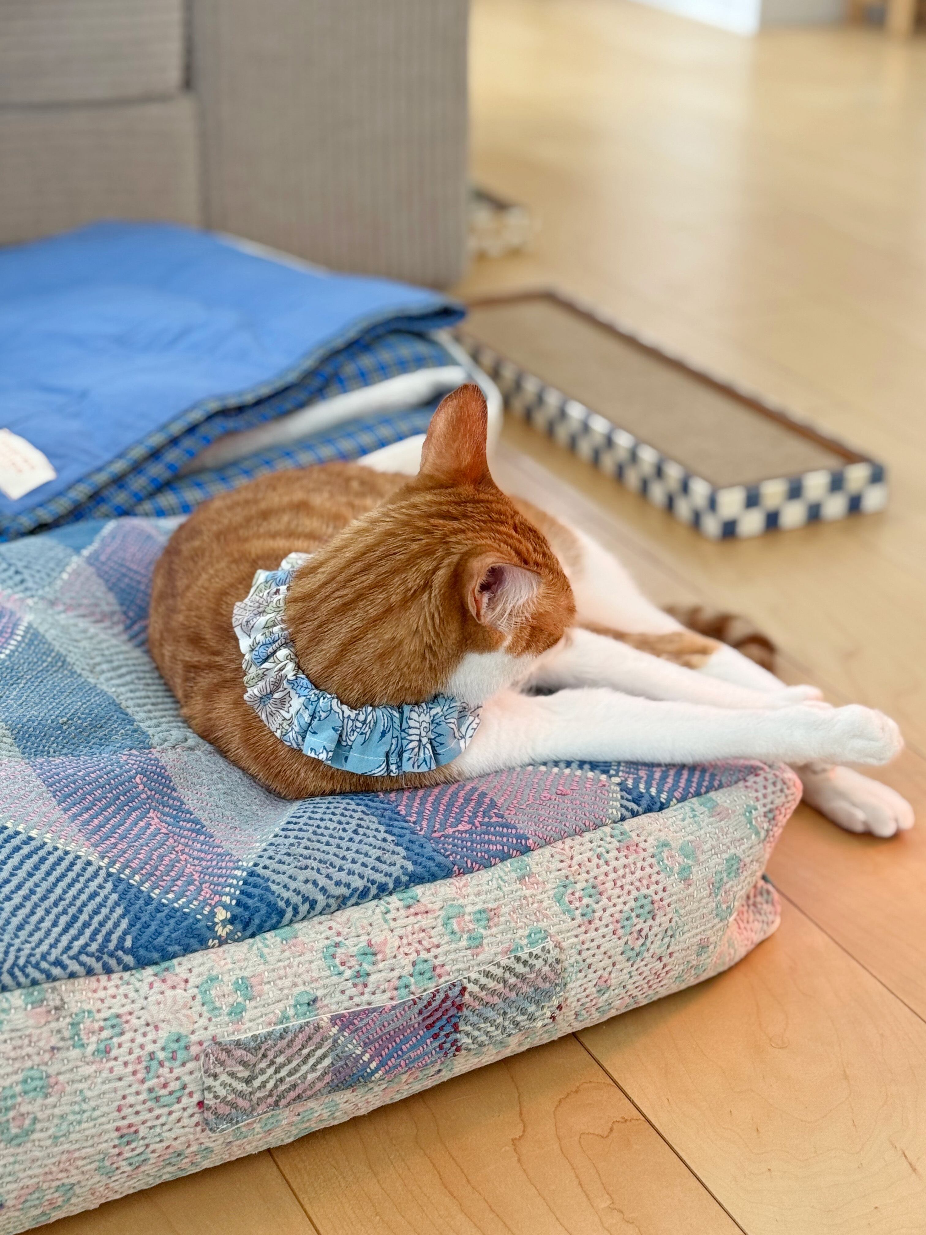 猫用カンタ生地プフ｜スクエア猫クッション | meree billee めりびり