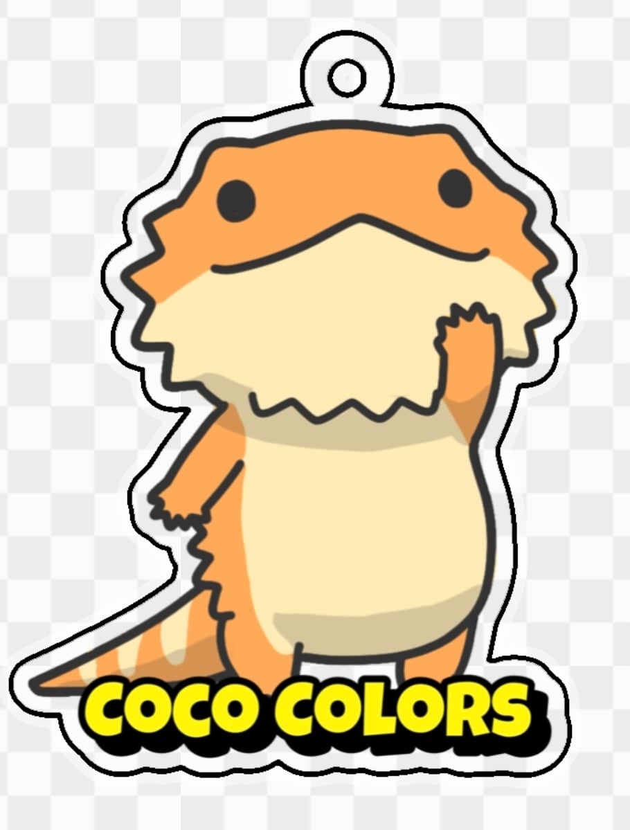 ♥Mira☆Kira♥様ご確認用♡ フトアゴヒゲトカゲ フトアゴヒゲトカゲ スーパーレッド 販売 エキゾチックサプライ 大阪