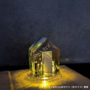 忘れられた庭へと続く扉は、新月の夜だけ開く
