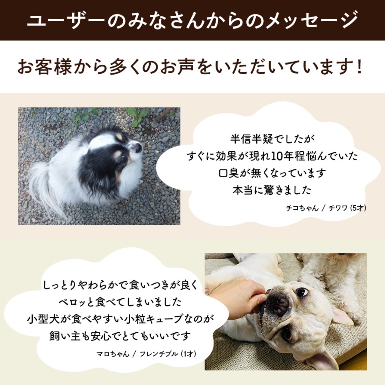 コピー：コピー：コピー：【送料無料】カテキンジャーキー 4個セット｜ 犬用おやつ/ドッグフードのペットフードショップ ホウワ