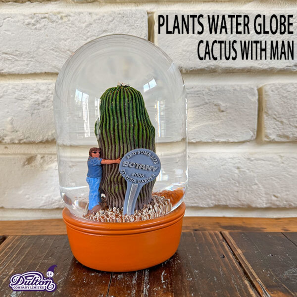 PLANTS WATER GLOBE CACTUS WITH MAN Lサイズ プランツ ウォーター 
