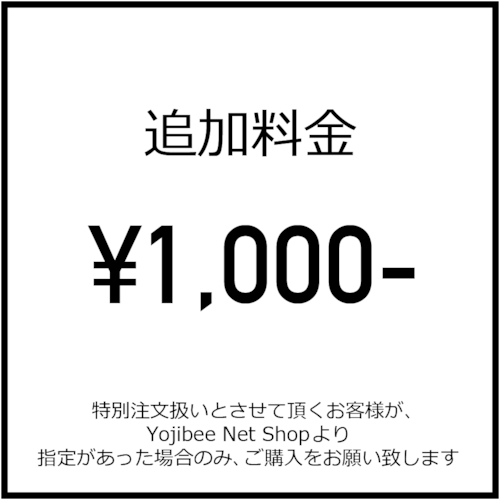追加料金1,000円