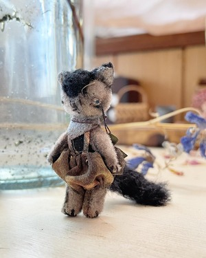 miniature kitten/chim chim cher-ee