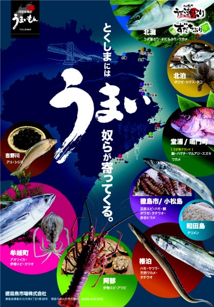 8f89a70488e357888b362a2b57e432