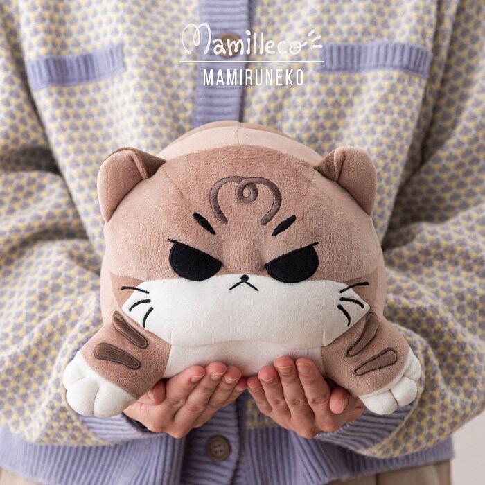 SEVENTEEN ウォヌ ぬいぐるみ 20cmなど5点おまとめ SEVENTEEN ウォヌ 20cm ぬいぐるみ ドール 人形 | PAY ID