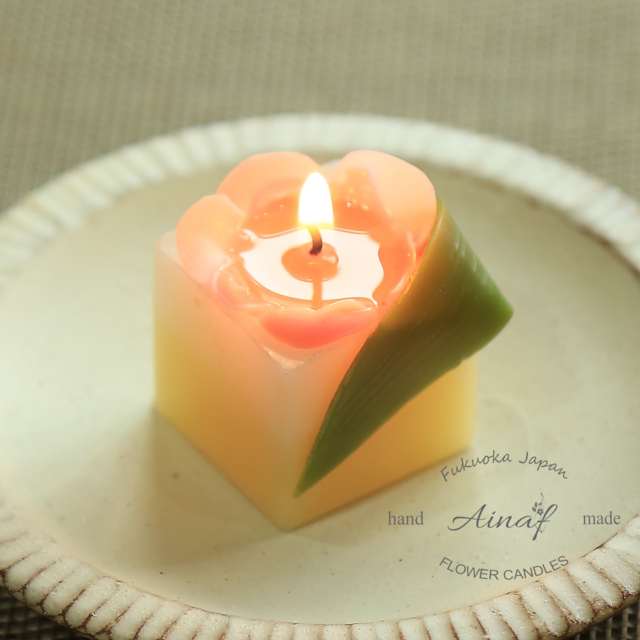 福岡県の花 「梅 」の 蜜蝋キャンドル／Beeswax candle