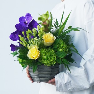 アジサイのアレンジメント Rafraichir ラフレシール 送料込 よいはな Yoihana 最高品質のお花をお届けするネット通販 アジサイのアレンジメント Rafraichir ラフレシール 送料込 よいはな Yoihana 最高品質のお花をお届けするネット通販