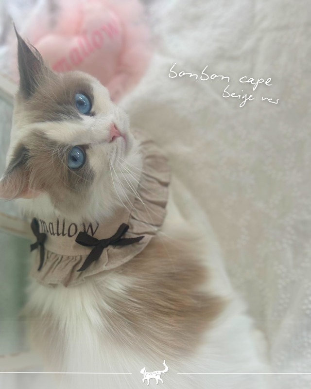 受注制作【settusettu】bonbon cape beige ver〔お名前刺繍〕