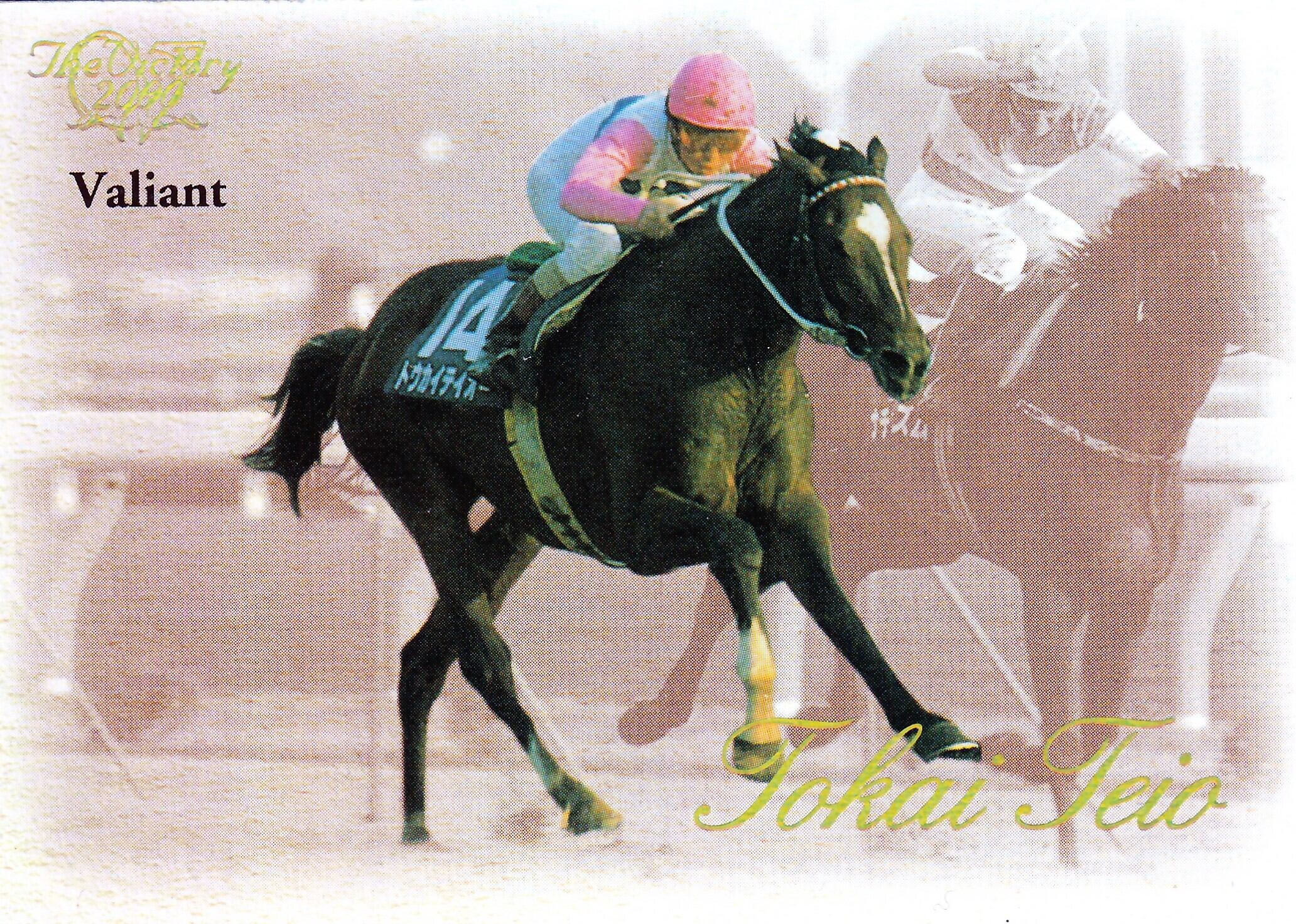 第4回ジャパンカップ：カツラギエース(Dream)「The Victory 2000」R-14