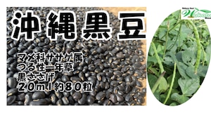 沖縄島野菜種子20ml 約80粒「沖縄の黒豆」＊送料込み