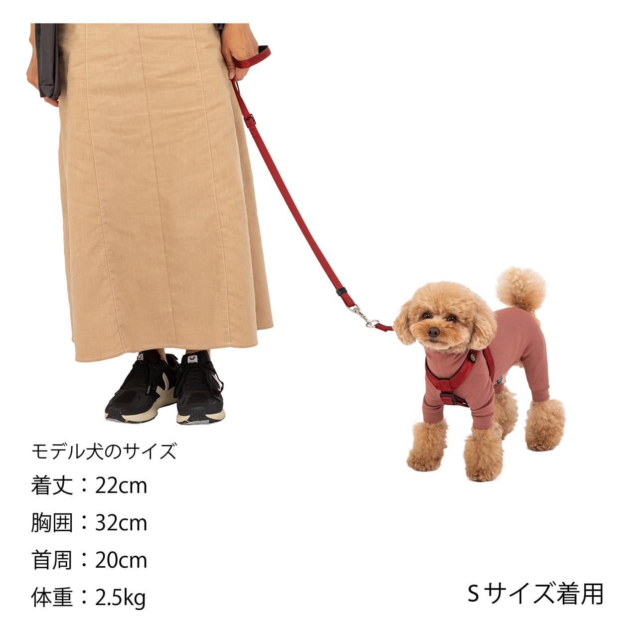 CLASSIC HARNESS Lサイズ クラシックハーネス Lサイズ