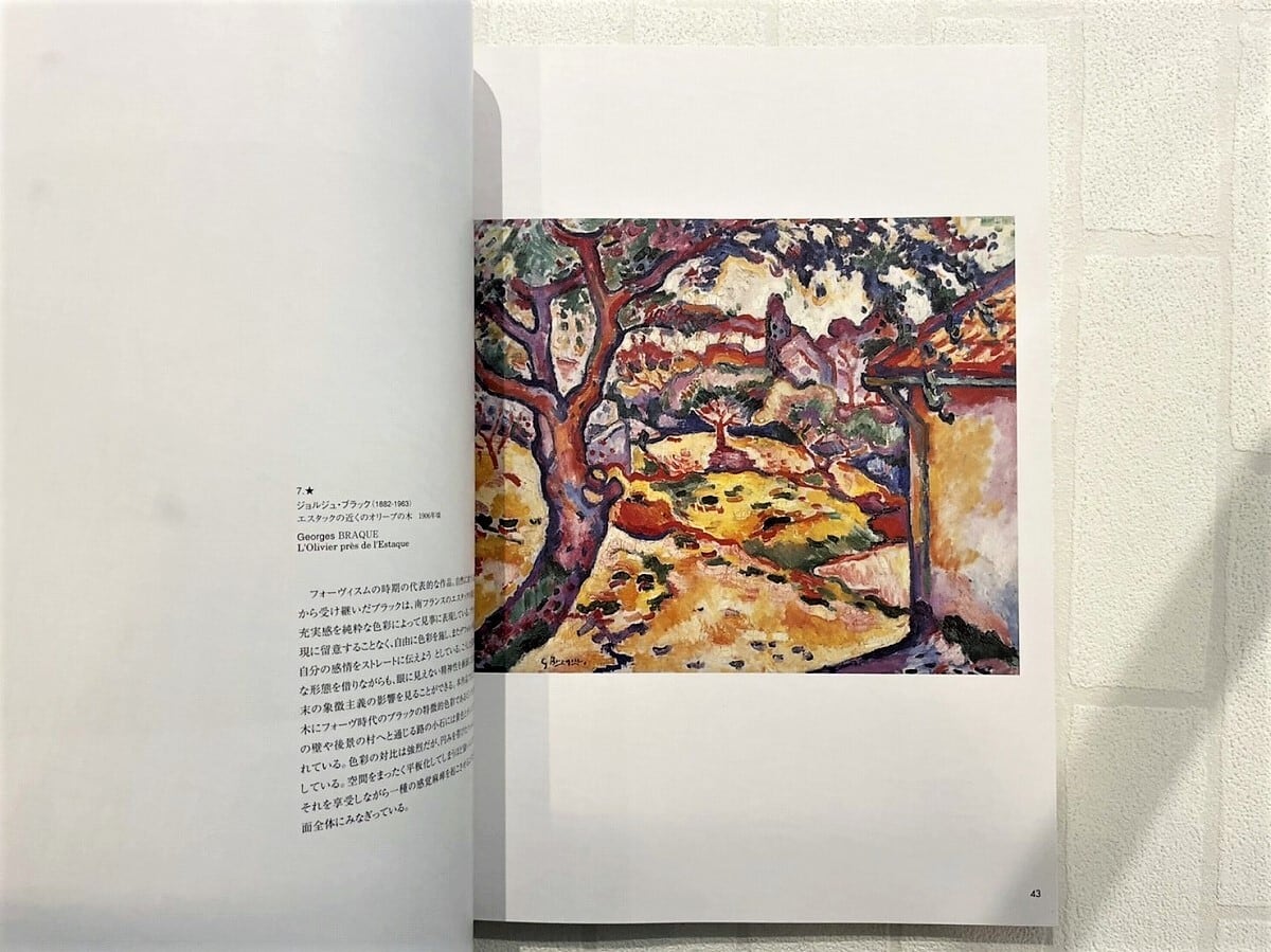 VM023】パリ市近代美術館展 /visual book | KITAZAWA BOOKSTORE