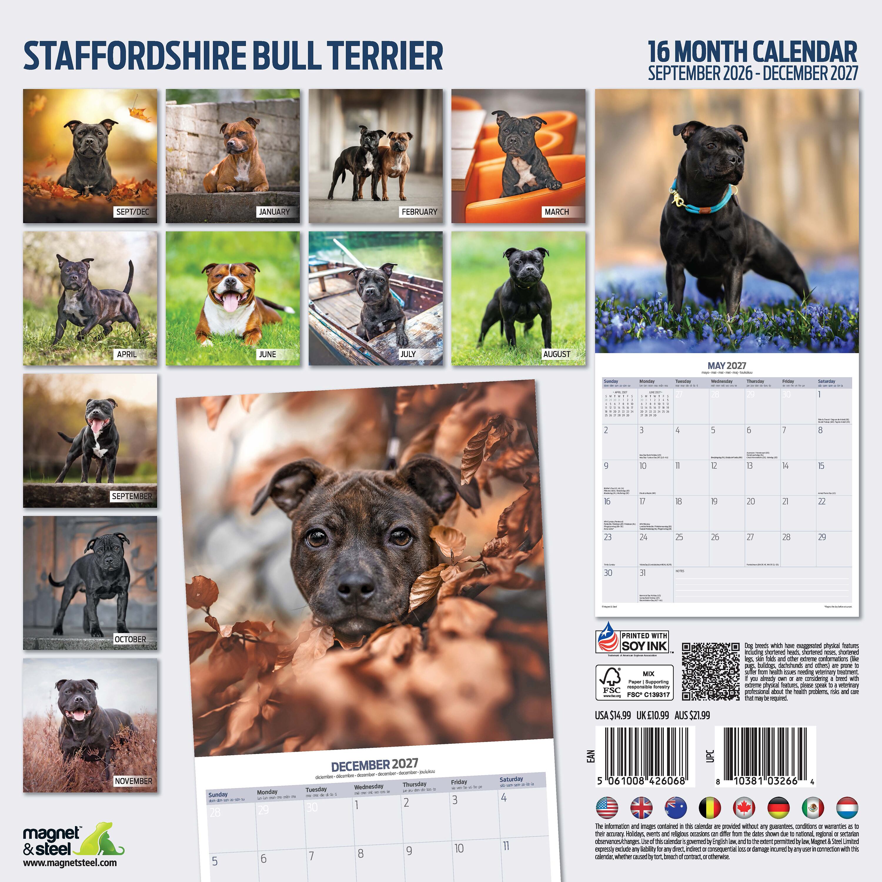 【2027年版】英国製犬種カレンダー【スタッフォードシャー・ブルテリア】Traditional 2027年版