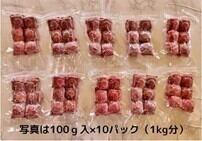 鹿肉 500g ミンチ 犬用 国産 無添加 天然 生肉 冷凍 小分 ジビエ