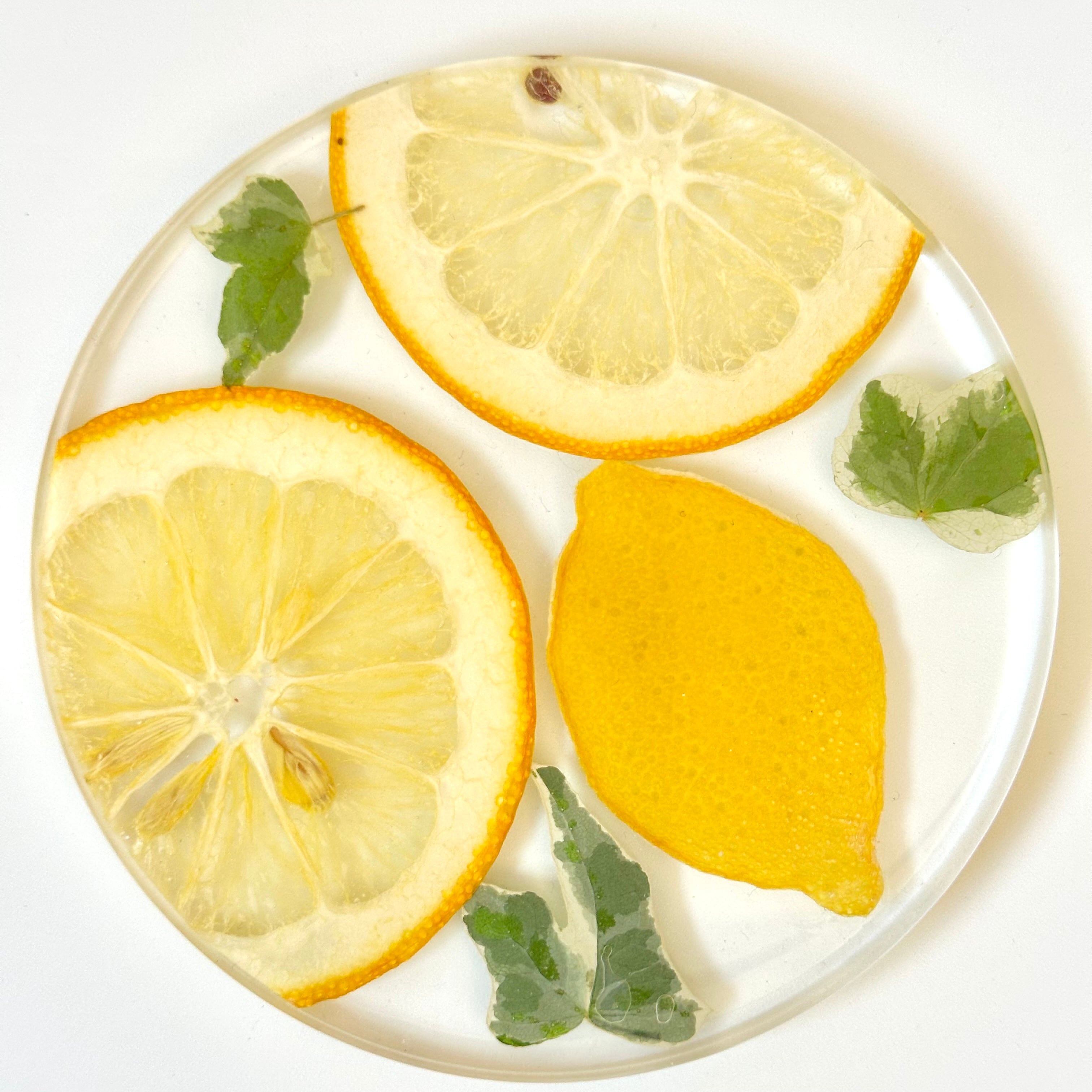 Lemon＆レモンのコースター | astin muhler | 押し花・押しフルーツの