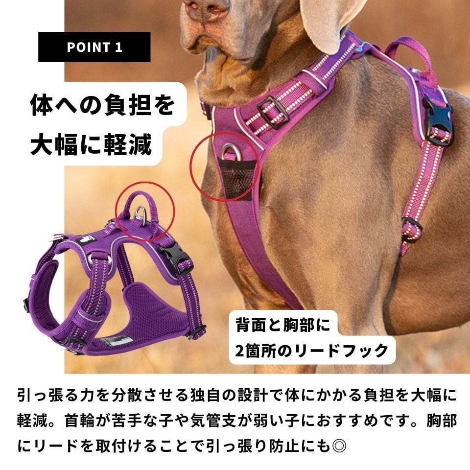 RUFFWEAR 犬用ハーネス XXS 青色 RUFFWEAR】ラフウエア フロントレンジ