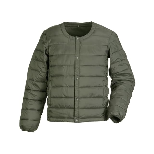 名作 Patagonia ダスパーカー ゲッコーグリーン S パタゴニア DAS