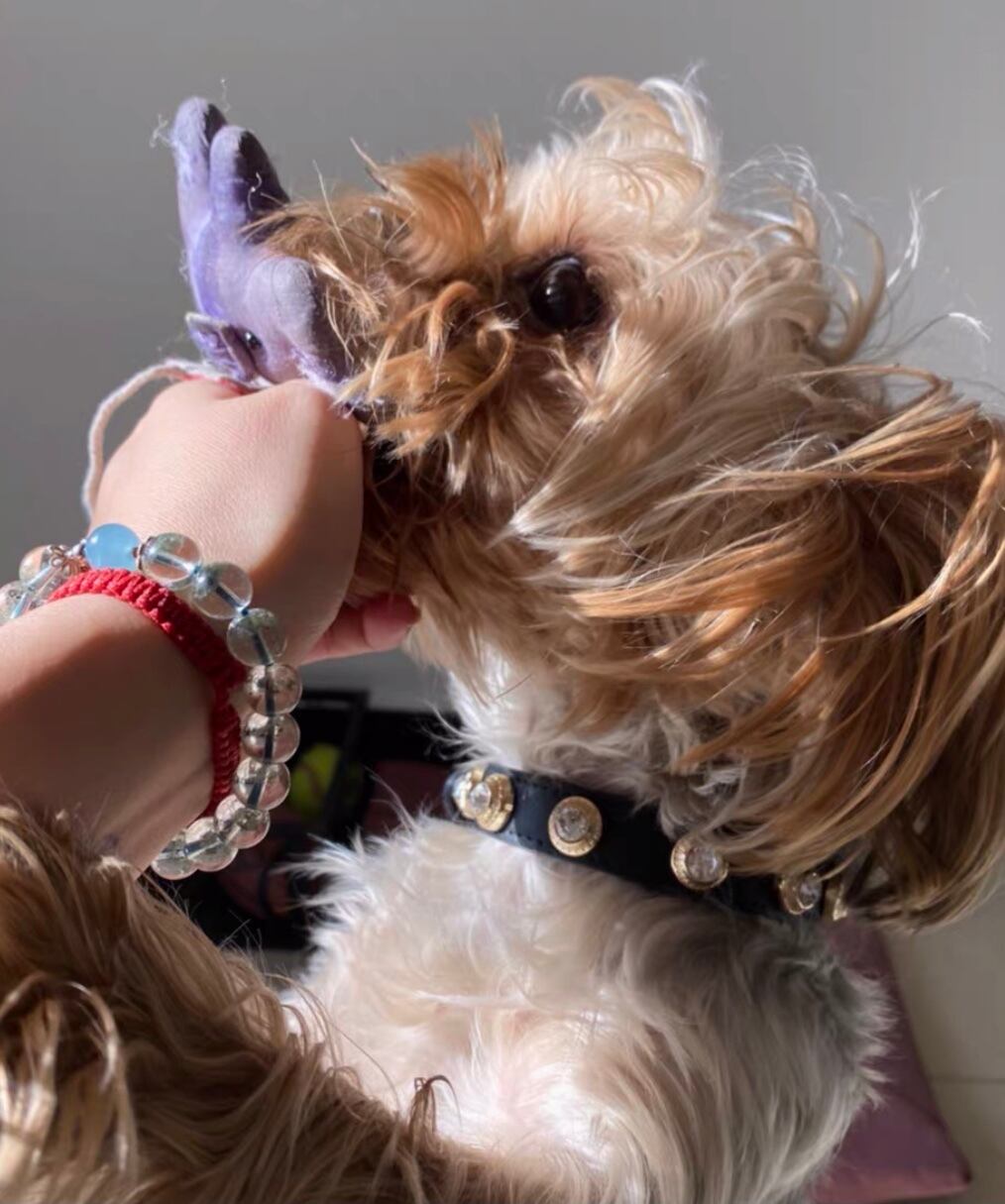 ワンニャンチョーカー☆首回り約31～33cm Mサイズ】チョーカー・ブレス・ネックレス・犬・猫・首輪】チャー水色