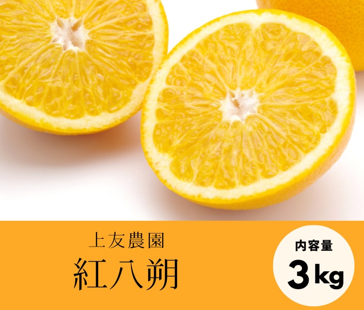爽やか仕立てでアッと驚く食べやすさ!紅八朔(3kg)