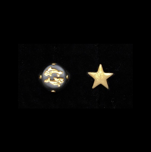 Zodiac sign & star earrings: Pisces