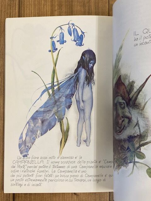 FATE | snowdrop FATE | snowdrop
