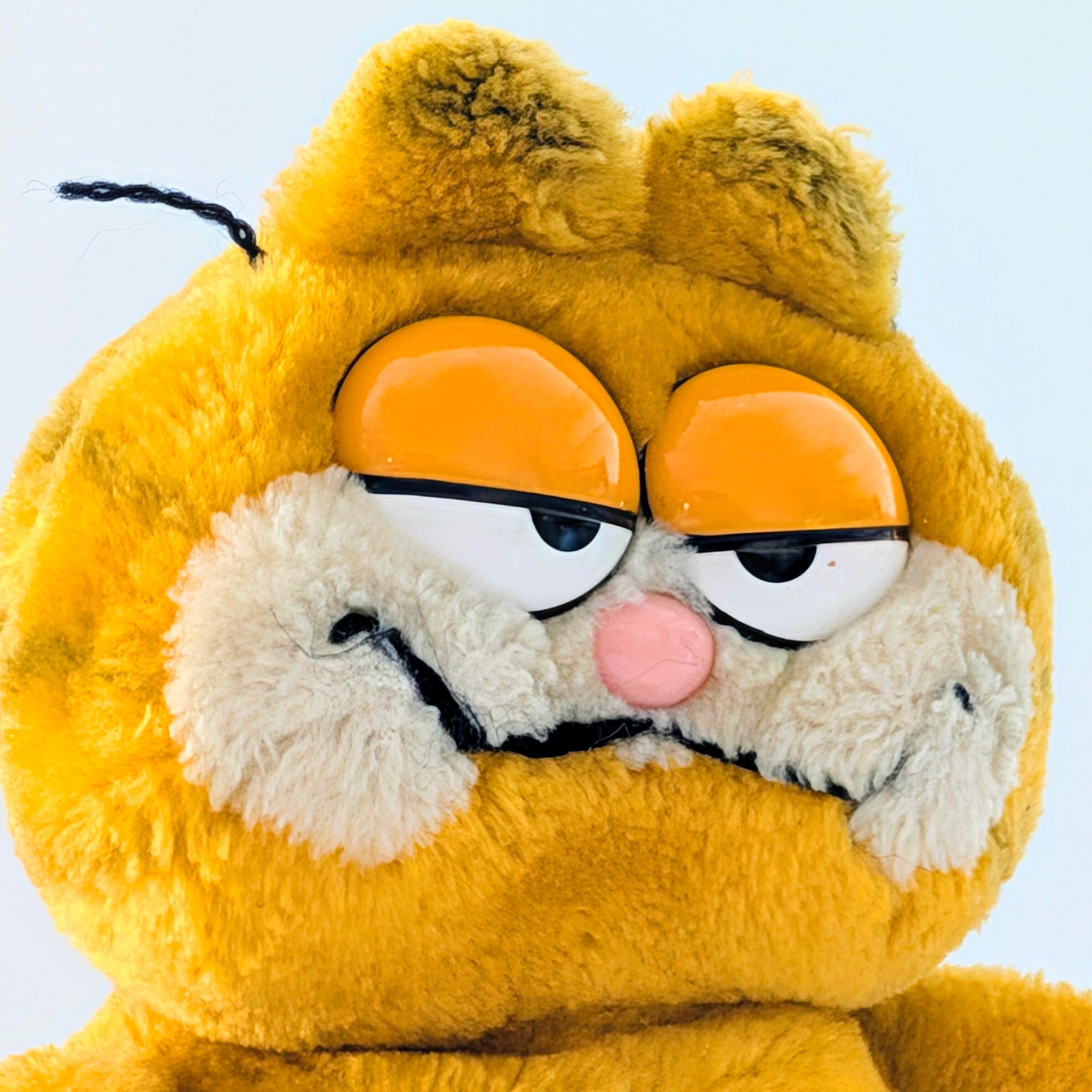 ☆ VINTAGE 1980年代初期 ☆【 Garfield ( ガーフィールド ) 】ビーンぬいぐるみ / プラッシュ / plush / 1980年代年製 〚アメリカン雑貨 アメトイ〛